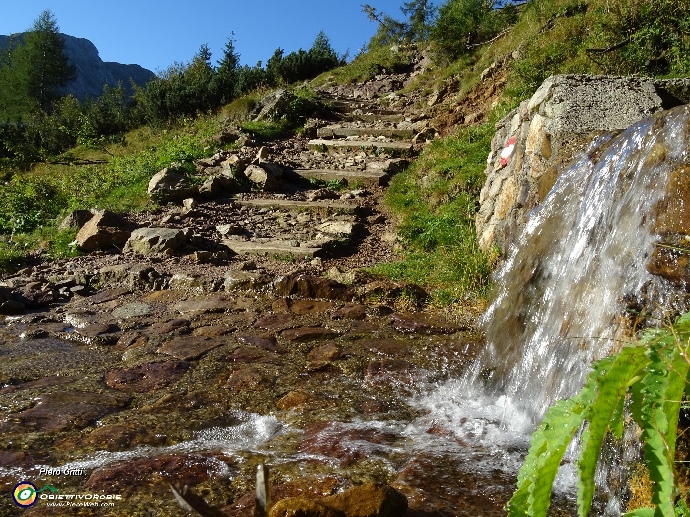 08 Acqua in abbondanza sul sent. 215-217 per Laghi Gemelli-Piatra Quadra.JPG